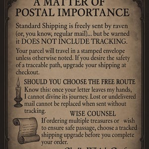 Book Lover Sticker Fantasy Novel Reader Gift Bookish Aesthetic Sticker Medieval Book Reader Booktok Sticker image 2