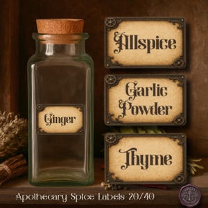 Steampunk Spice Jar Labels, Gothic Kitchen Stickers, Apothecary Herb Tags, Vintage Pantry Organization, Set of 20 or 40