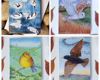 Greetings card x4:  A6 Wild Bird Collection, one of each design.