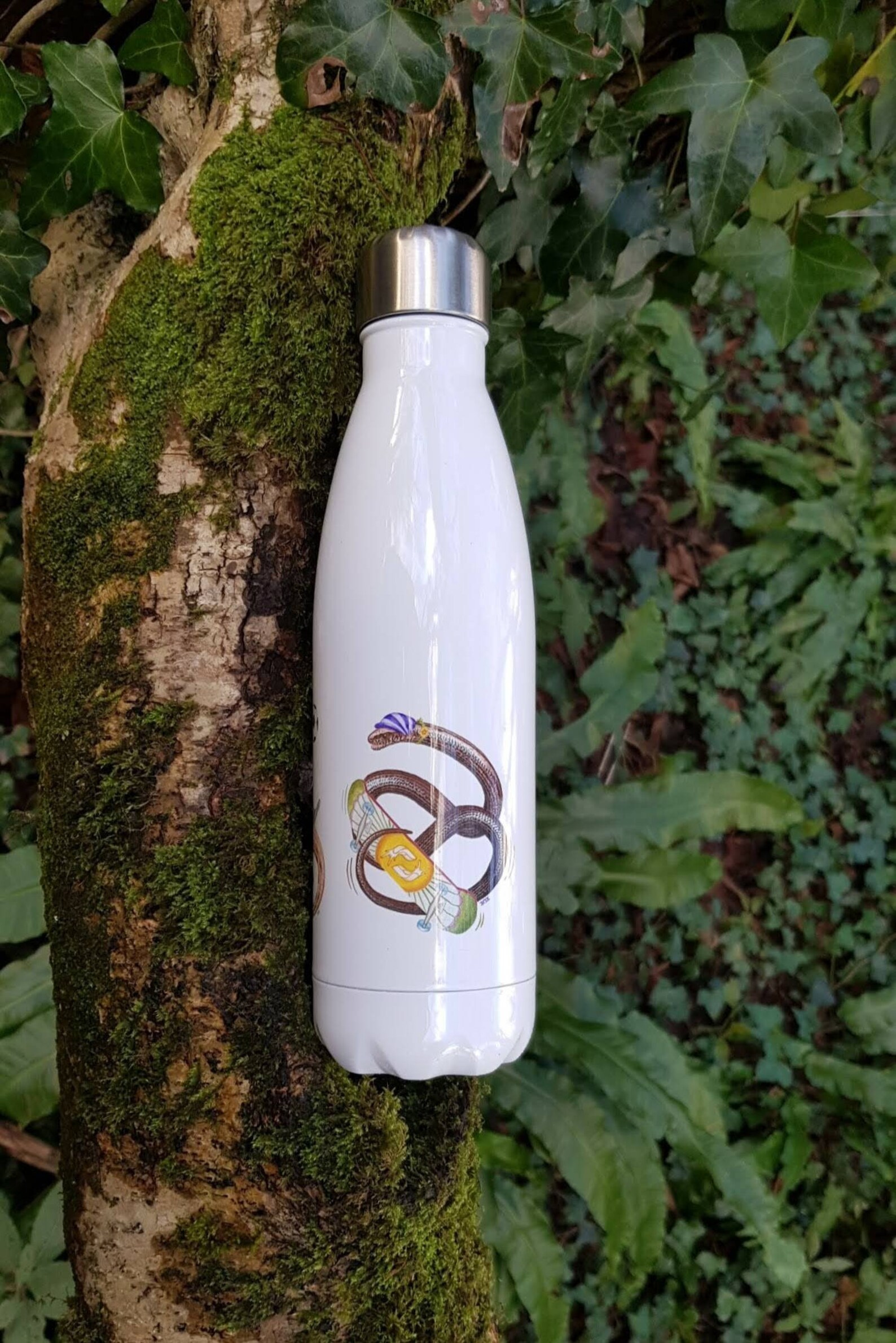 500ml Water Bottle leaping Lizards Common Lizard Etsy