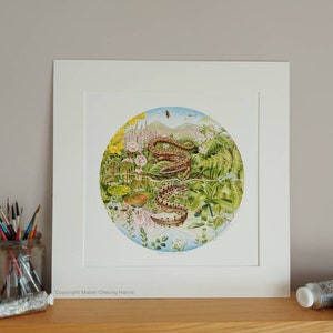 Kunstdruck: Drachen in den Hügeln Ungerahmt und ohne Passepartout.  Beinhaltet Spende an Amphibian and Reptile Groups UK