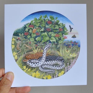 3 x wenskaarten: adders zijn geweldig! Gwiberod Gwych! Wenskaarten - met donatie aan Amphibian and Reptile Groups UK