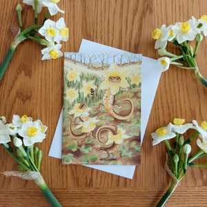 Tarjeta de felicitación x3. Celebraciones primaverales con tritones palmeados, narcisos silvestres y abejorros de cola leonada, cerca de Haytor, Dartmoor.