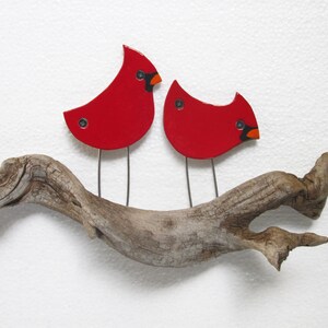 May include: Two red cardinal birds with black eyes and orange beaks perched on a weathered driftwood branch.