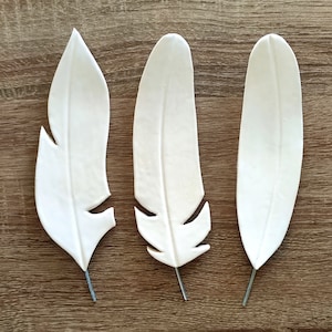 Feather Wall Art, Set of 3 Feathers Wall Decor, Wall Hanging, Natural Wall Art