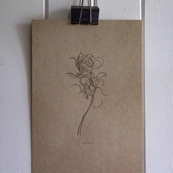Letterpress Botanical Print - Willowherb