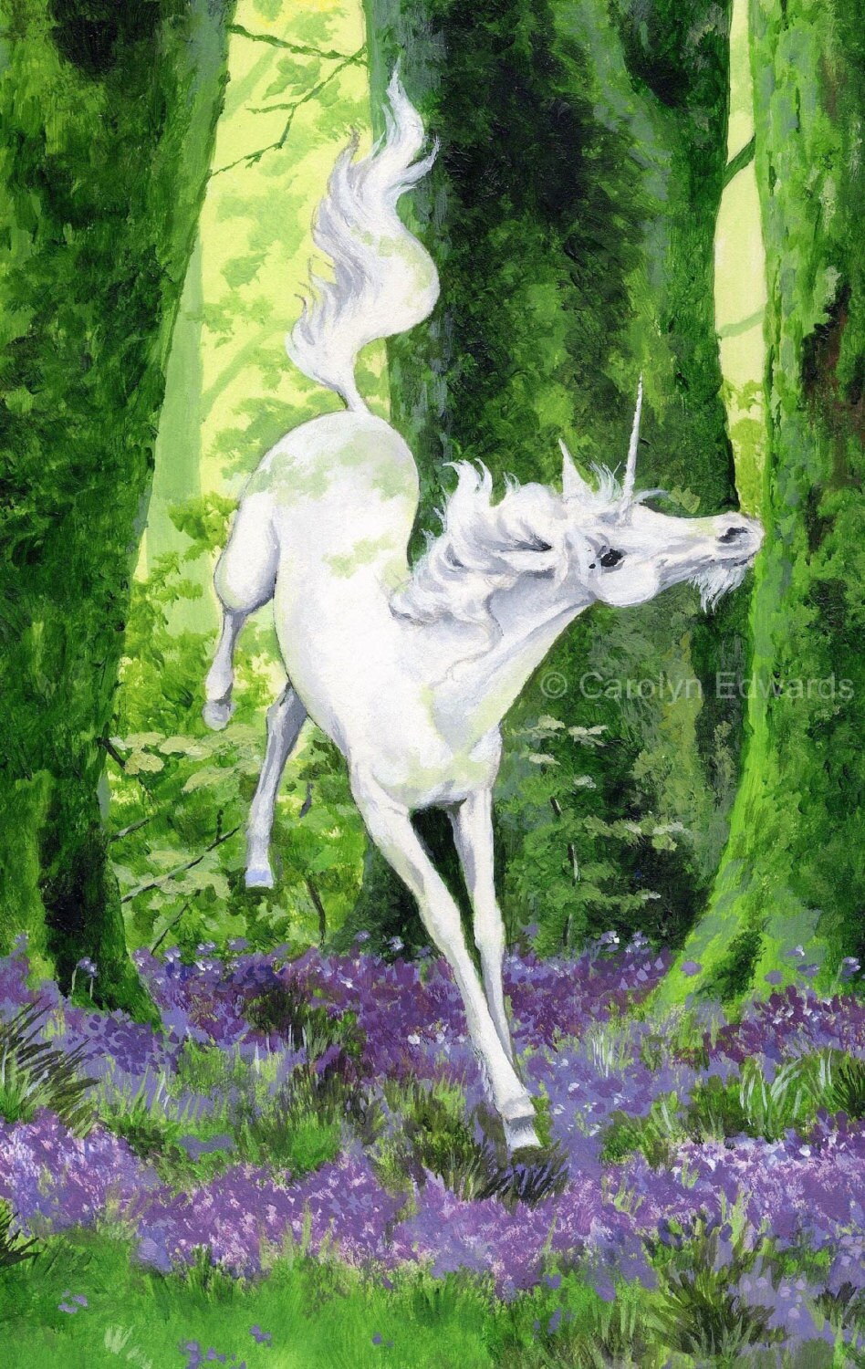 UNICORN Beautiful Glossy A4 Art Print 29.7 X 21cm | Etsy