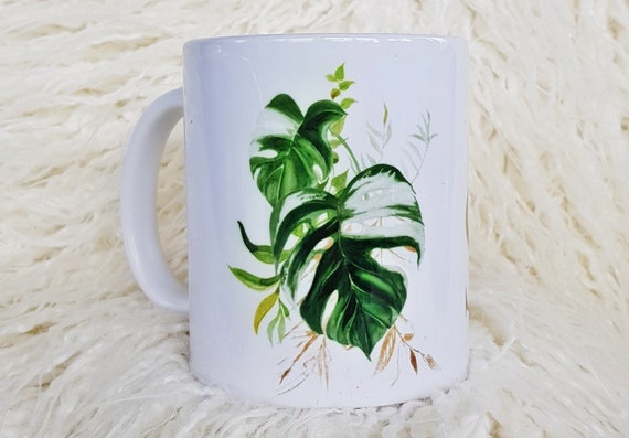 sneak plant African Spear Plant 'Sansevieria cylindrica'