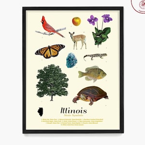 Póster de tipología de símbolos del estado de Illinois, arte mural de Illinois, impresión ecológica, decoración del hogar de Chicago