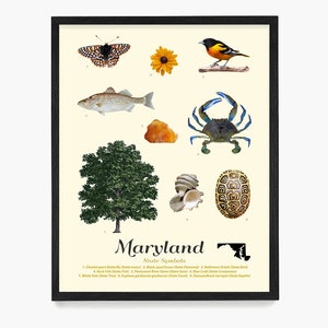 Maryland State Symbole Typologie Poster, Maryland Wandkunst, Maryland Wohnkultur, Maryland Geschenk, Baltimore Home