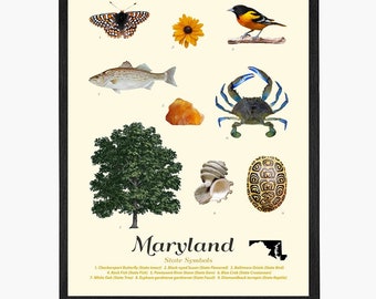 Maryland State Symbols Art Print: Typology Poster, Baltimore Home Decor