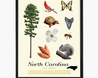 North Carolina State Symbols Art Print: Typology Poster