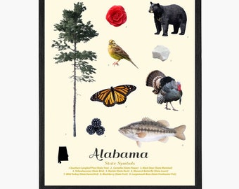 Alabama State Symbols Art Print: Yellowhammer, Blackberry, Camellia