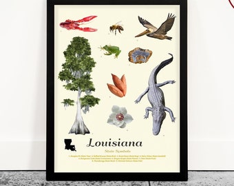 Louisiana State Symbols Art Print: New Orleans Home Decor