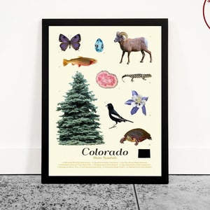 Colorado State Symbols Poster – Illustrated Typology of Wildflower, Tree, Bird and Wildlife, Educational Colorado Wall Art