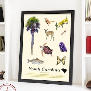 South Carolina State Symbols Art Print: Ecology Typology Poster