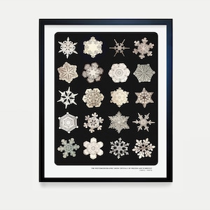 Póster de tipología de copos de nieve, arte mural invernal, decoración de copos de nieve, microfotografía, arte de copos de nieve