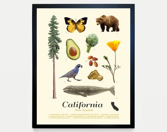 California State Symbols Typology Poster, California Wall Art, California Home Decor, California Housewarming Gift