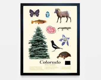 Colorado State Symbols Typology - Colorado Art - Colorado Poster - Colorado Wall Art - Colorado Gift - Denver - Rocky Mountains