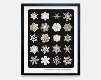 Snowflake Typology Poster, Winter Wall Art, Snowflake Decor, Microphotography, Snowflake Art