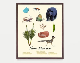 Poster della tipologia dei simboli dello stato del Nuovo Messico, Arte della parete del Nuovo Messico, Arredamento per la casa del Nuovo Messico, Sante Fe, Taos, ABQ