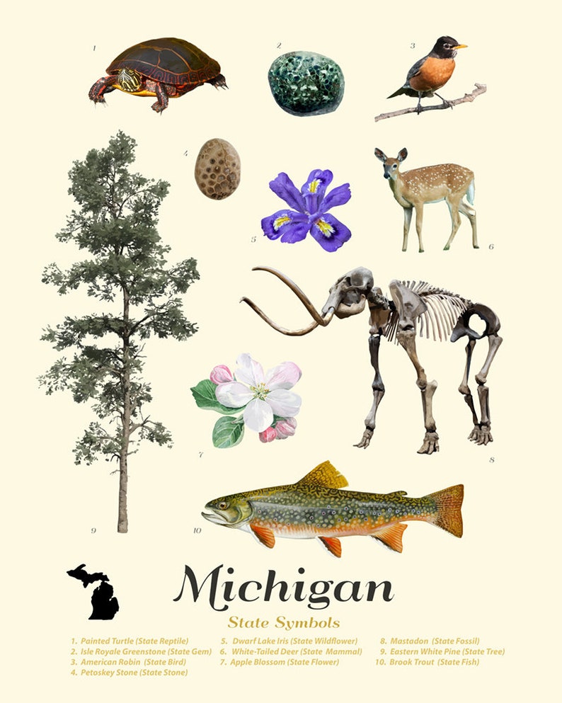 Michigan State Symbols Typology Michigan Art Michigan - Etsy