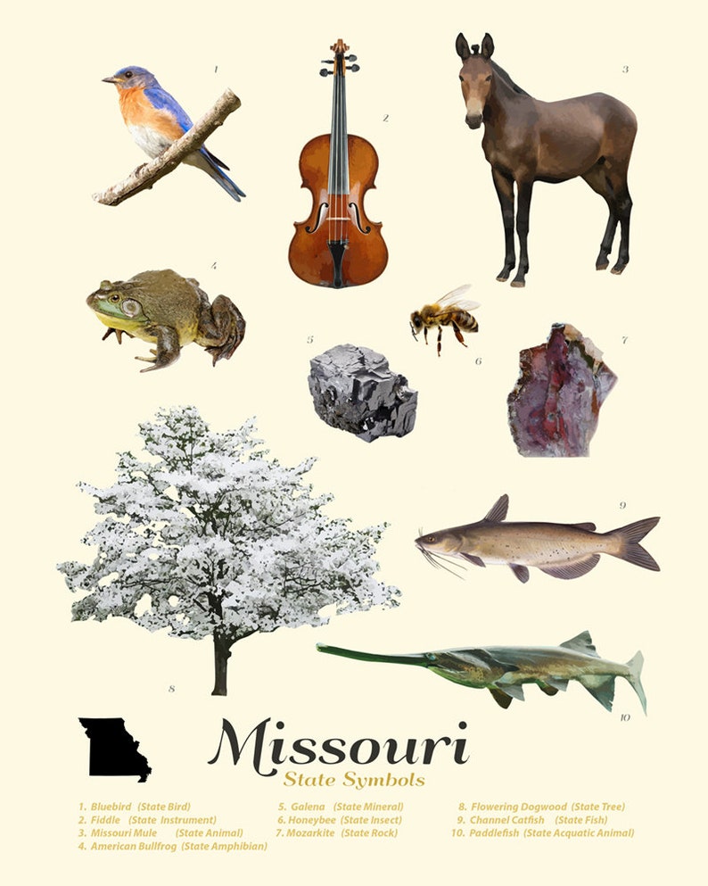 Missouri State Symbols Typology Missouri Art Missouri | Etsy
