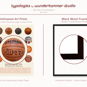 Evolution of the Basketball Poster, Basketball Wall Art, Basketball Gift, Game Room Decor, Basketball Team image 4