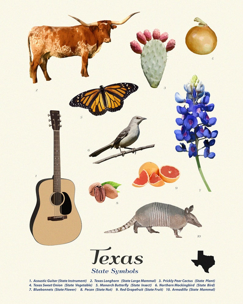 Texas State Symbols Typology Texas Art Texas Poster | Etsy
