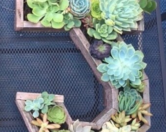 Succulent letters any letter or number 20"x17"