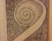 Spiral of Life Inspired fern inspired black and white nature photograph card