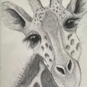 Handgezeichnete Giraffe mit Bleistift