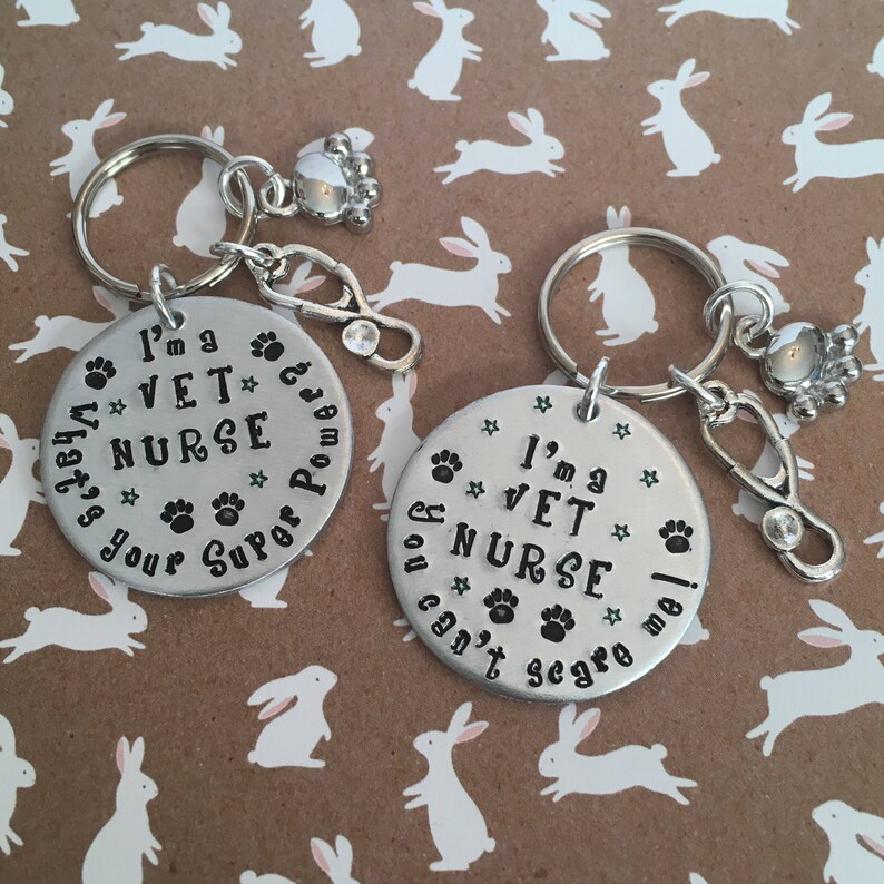 Veterinary Nurse Personalised Fun Keyring Gift. Vet Nursing. Etsy UK