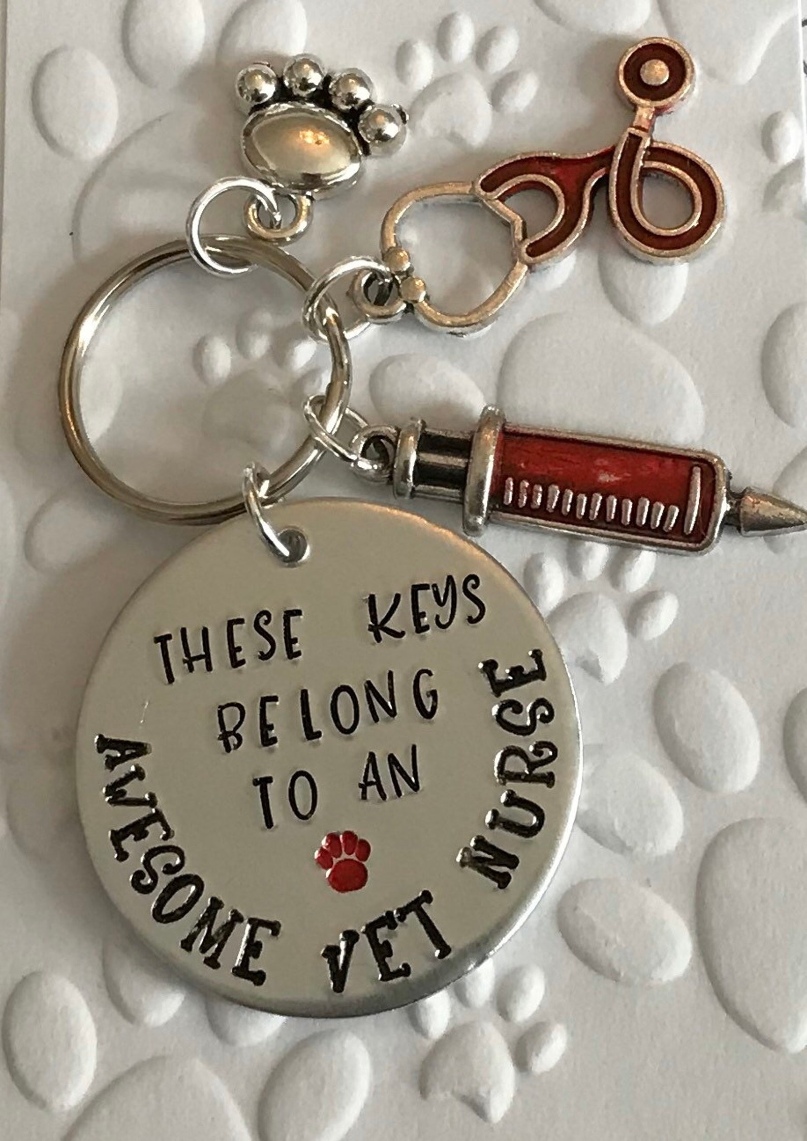 Vet Nurse Keyring Vet Keyring Vet Tech Keyring. Veterinary Etsy Australia