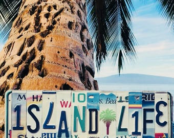 Letrero de matrícula con palmera hawaiana, decoración playera de la vida isleña