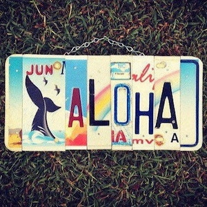 Tropical Hawaiian Aloha Whale License Plate Art Sign Made in Hawaii, Beach Decor, Whale Art, Hawaii License Plate, Aloha Sign, Beach Art