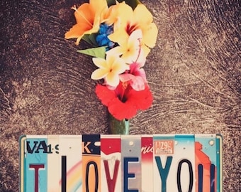 I Love You License Plate Art Sign, Anniversary Gift
