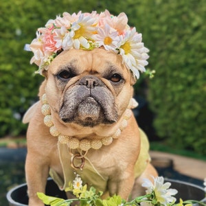 New Deluxe Crown Flowers ark Pets Stylish Fashion Costume | Flower crown animal bow elegant fantasy fashion