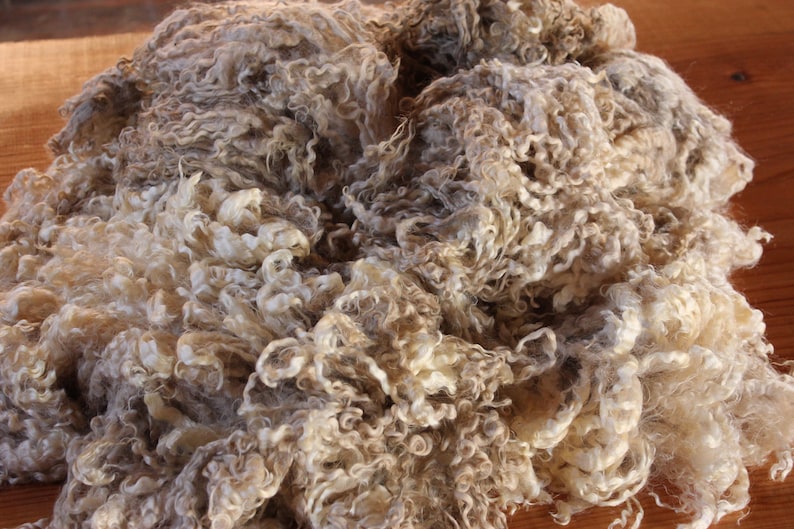 English Leicester raw wool fleeces unwashed 3kg Etsy