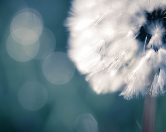 Dandelion Photograph, Teal Blue Bokeh Macro Photo Print, Dandelion Puff Picture, Horizontal Wall Art, Ethereal Dreamy Photography