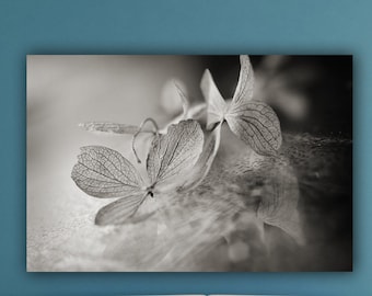 Black and White Hydrangea Flower Photography Print, Floral Macro Still Life