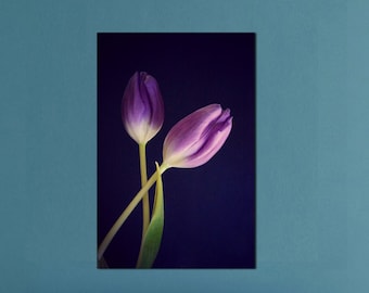 Purple Tulip Flower Photograph, Two Tulips Floral Photography, Minimal Botanical Fine Art Nature Photo Print