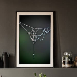 Close Up Dew Drops Spider Web Photography, Macro Web Picture, Macro Nature Photo Print, Green Dew Covered Cobweb Picture