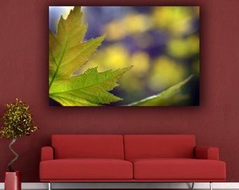 Green Leaf Photograph, Green & Yellow Photography, Spring Maple Leaf Photo Print, Art Lovers Gift Bedroom Living Room Office Wall Decor
