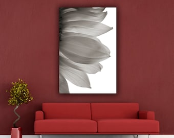Gerber Daisy Photograph, Black and White Flower Photo Print, Botanical Wall Decor