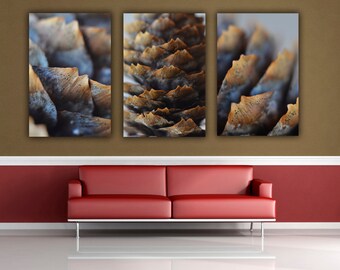 Pine Cone Photograph, Three print Set, Nature Fine Art Wall Art, Macro Photography, Brown Pine Cones Photo Prints, 3 Print Grouping