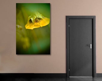 Yellow Wildflower Photograph, Botanical Photo Print, Floral Wall Art