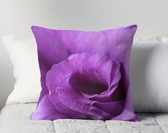 May include: A close-up of a purple flower with a soft, velvety texture. The petals are curled inward, creating a spiral shape.
