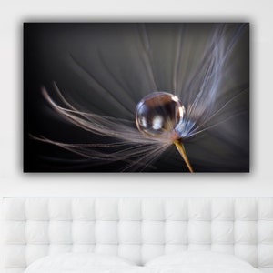 Macro Water Drop Photograph, Ethereal Dandelion Seed Picture, Dew Drop Photo Print, Fine Art Photography, Bedroom Living Room Wall Decor
