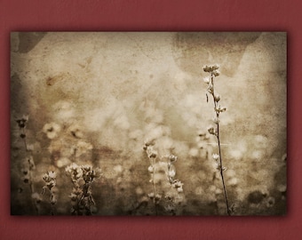 Sepia Blumen Fotografie, Braun Rustikale Natur, Vintage Look Kunstdruck